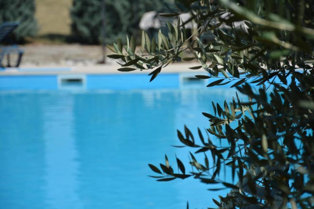 Apartments Agata Nova Vas (Porec) Exterior foto